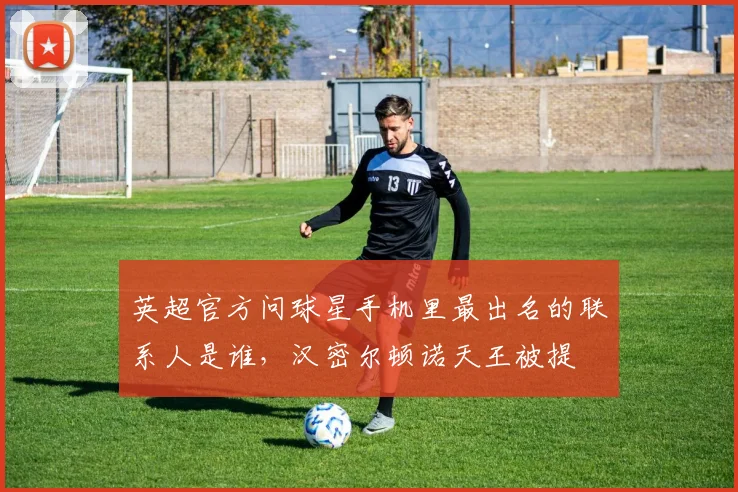 英超官方问球星手机里最出名的联系人是谁，汉密尔顿诺天王被提