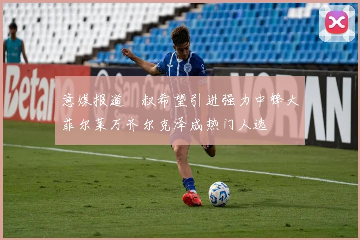 意媒报道囧叔希望引进强力中锋大菲尔莱万齐尔克泽成热门人选